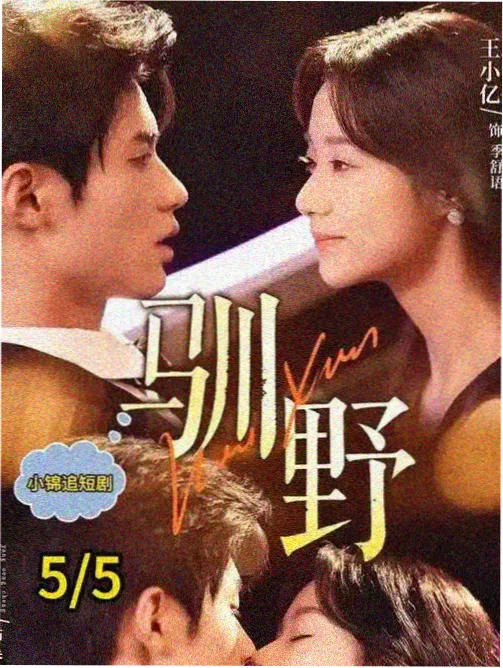 家庭伦理韩剧排行榜 汉江以南的家